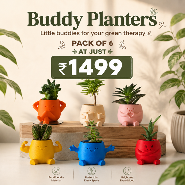 Buddy Planters