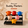 Buddy Planters