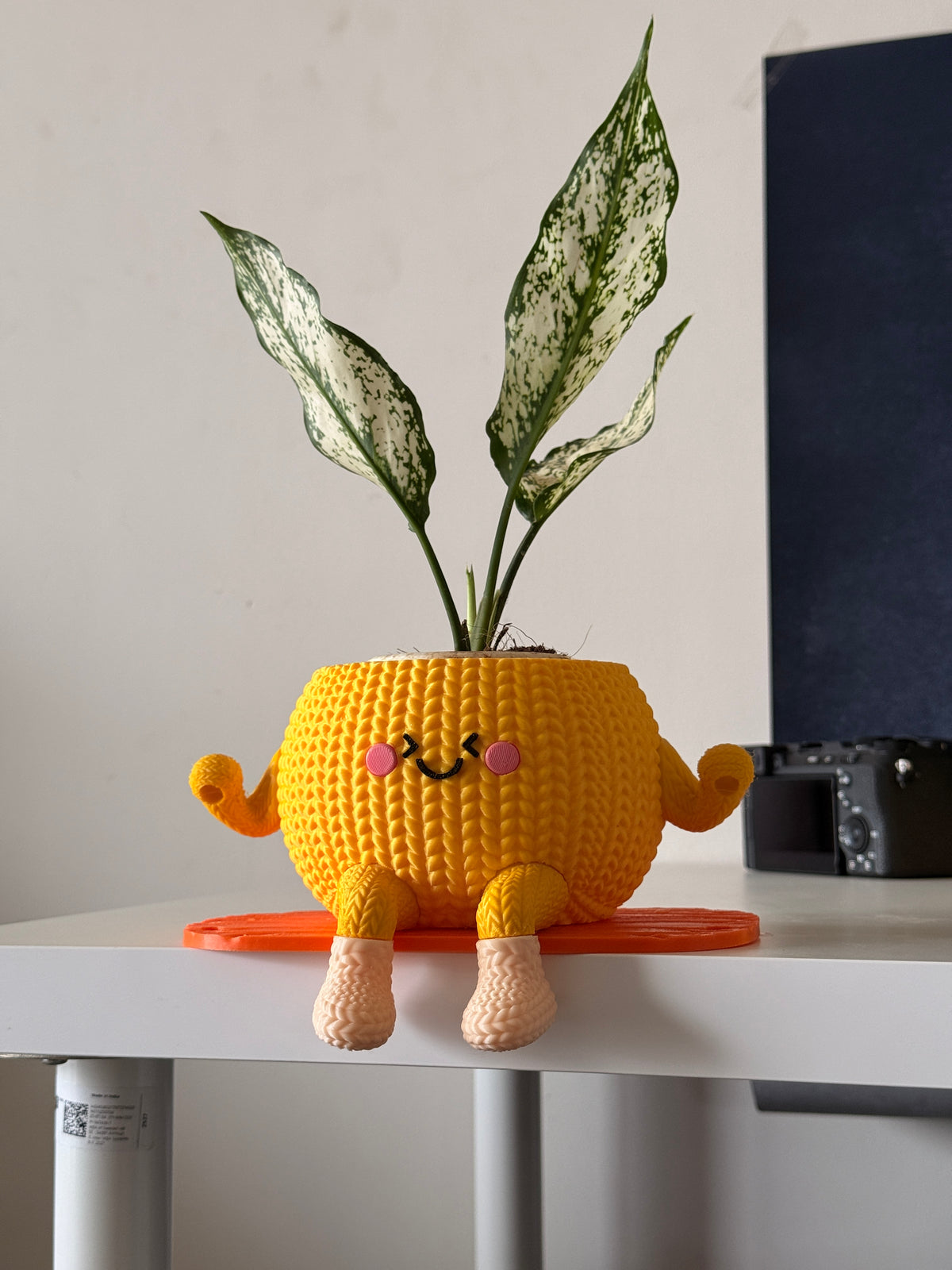 Hanging Planter