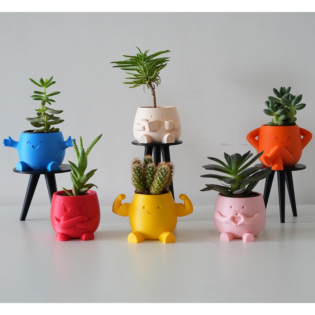 Buddy Planters
