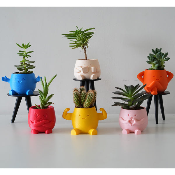 Buddy Planters