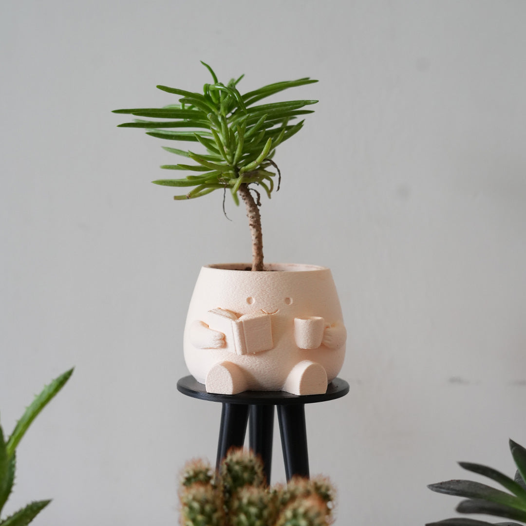 Buddy Planters